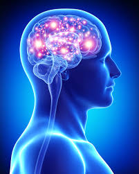 Чем отличается нейросонография от УЗИ головного мозга?